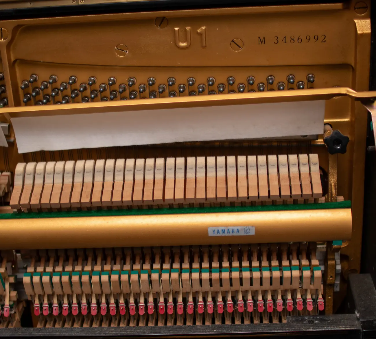 Yamaha U1
