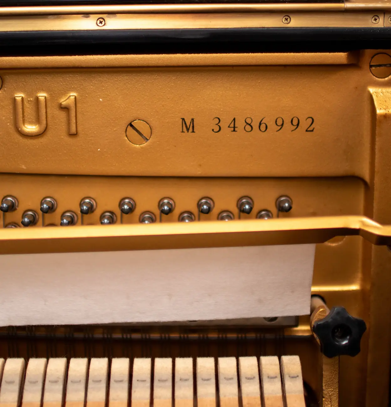 Yamaha U1