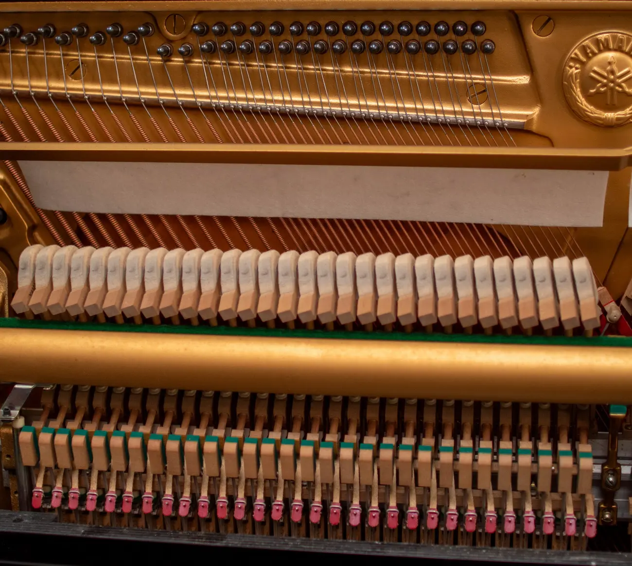 Yamaha U1